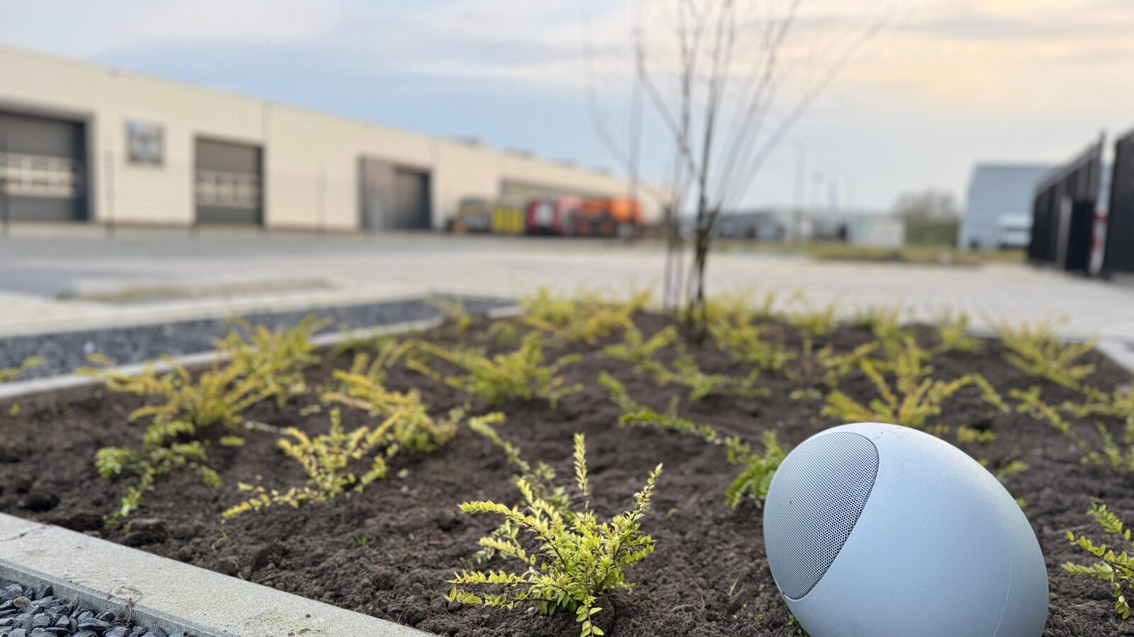 WhatsApp Image 2026-03-11 at 20.18.45